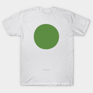 Circular - Crayola Maximum Green T-Shirt